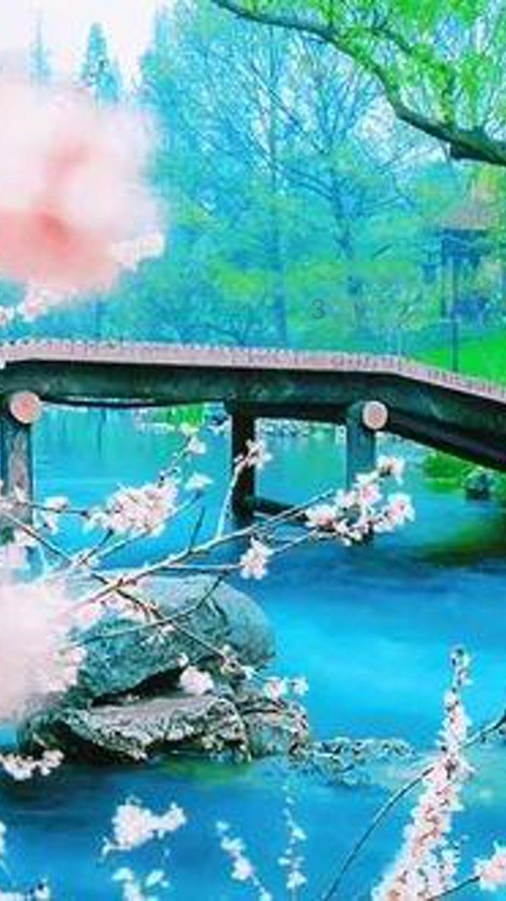 美丽皇后逃脱
